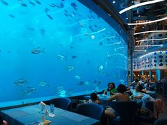 -瑞德姆美人鱼海底演艺主题餐厅(亚龙湾店)