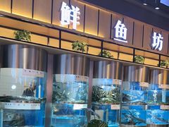 -老船舫·现做活鲜鱼馆(东郊记忆店)
