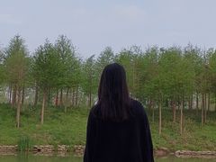 -合肥滨湖国家森林公园