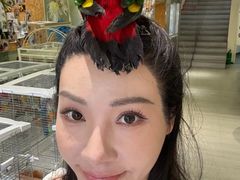-立德动物医院·异宠·CT·鹦鹉(天河店)