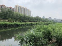 -石榴庄公园