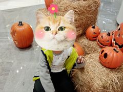 -英孚教育青少儿(银盆岭万达广场店)