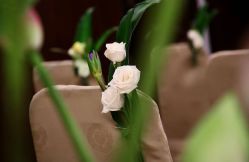 -红丝高端婚礼中心(旗舰店)