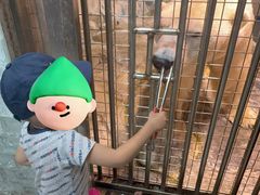 -大连圣亚海洋世界