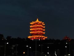 -循礼门鲜花花市(武汉循礼门店)