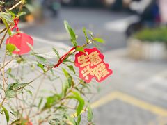 -本無咖啡·BeanWood Coffee