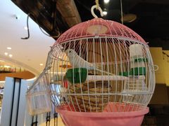 -兰木肆·云南菜(龙湖U城天街店)