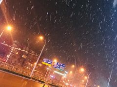 -老红桥炸灌肠牛肚锅烧烤(定福庄店)