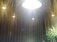 -三强鸽子(中原路店)