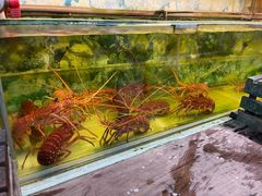 -無招牌海鮮(芽笼店)