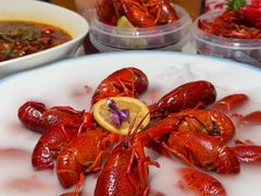-杨氏青龙虾·羊蝎子(托乐嘉店)