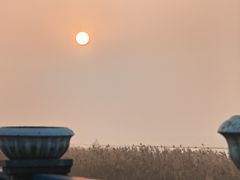 -合肥滨湖国家森林公园