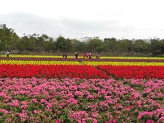 -丹樱生态园