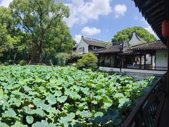 -上海醉白池公园