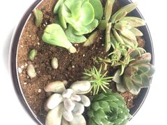 -绿岛汤泉韩式休闲会所