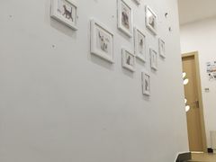 -创凡宠物医院·骨专科  猫科中心(西乡分院)