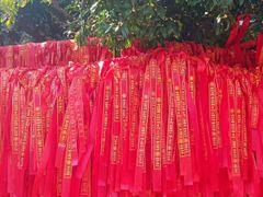 -交通银行(上海莘庄支行)