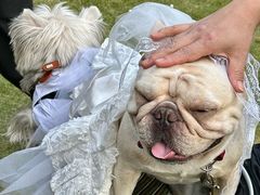 -上海神旺大酒店