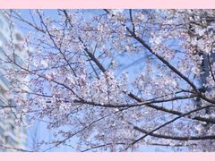 -GRAMCAKE一克甜品(昙华林花园山店)