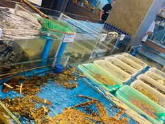 水产区-船歌·鱼水饺青岛菜(闽江二路店)