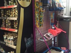 -北京赛佳动物医院