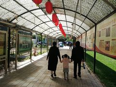 -草根堂农场