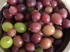 -马陆小张葡萄园农家乐