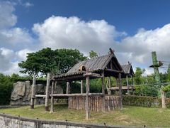 -上海野生动物园