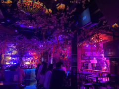 -周庄红庭演艺酒吧