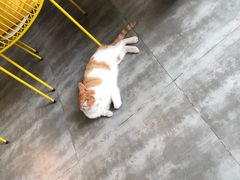 -五进制 Coffee Shop