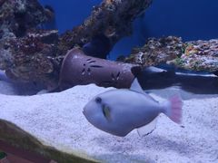 -海合安武汉极地海洋公园