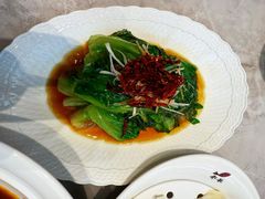 -船歌·鱼水饺青岛菜(太阳宫凯德MALL店)