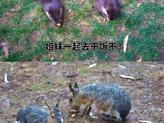-云南野生动物园