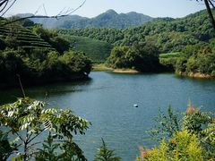-龙坞茶村