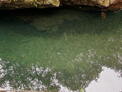 -石台牯牛降景区
