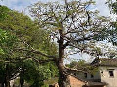 -中国客家博物馆