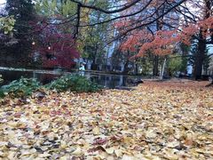 -北海道厅旧本厅舍(旧本庁舎)