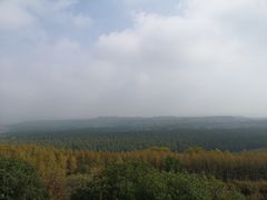 -塞罕坝国家级自然保护区