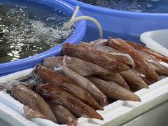 -花乐餐厅(涠洲岛店)