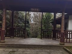 -千岛湖石林