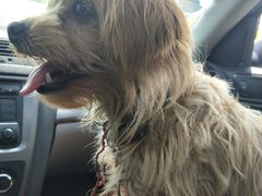 -佳百利宠物(荣乐中路115弄小区店)