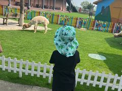 -太阳岛度假酒店