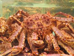 -万龙洲海鲜(大兴绿地缤纷城店)