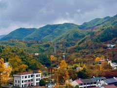 -四明山国家森林公园