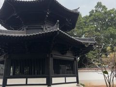 -荔湾湖公园