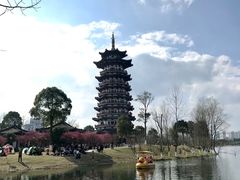 -洋湖国家湿地公园