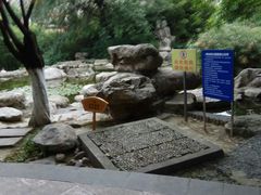 -神仙树公园