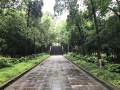 -灵谷景区