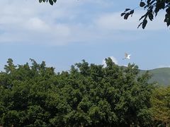 -亚龙湾国际玫瑰谷