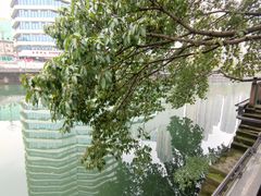-成都市活水公园